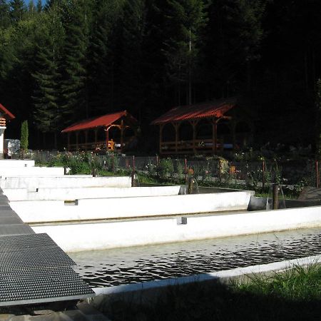 Hotel Paltinis Statjunea Borsa ภายนอก รูปภาพ