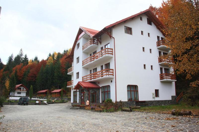 Hotel Paltinis Statjunea Borsa ภายนอก รูปภาพ