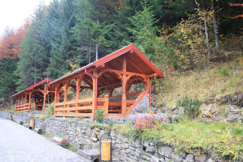 Hotel Paltinis Statjunea Borsa ภายนอก รูปภาพ